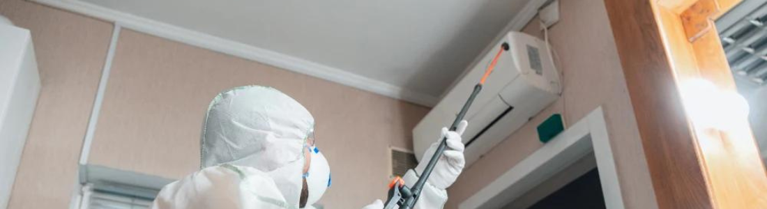Dedetização Residencial e Comercial 24 HORAS